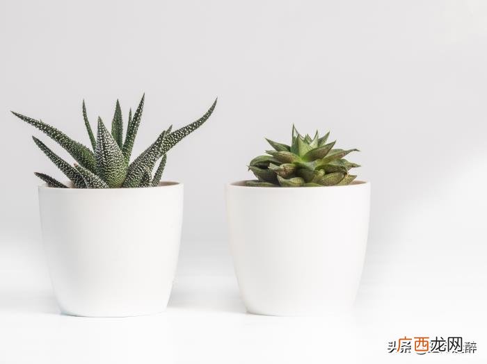 女朋友经常提分手是什么原因，女生总说分手的原因