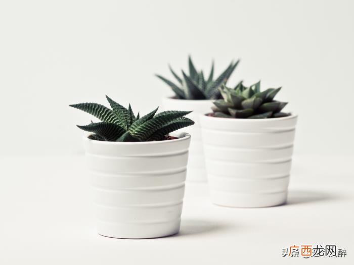 女朋友经常提分手是什么原因，女生总说分手的原因