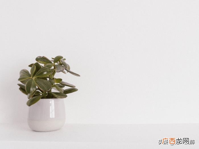 女朋友经常提分手是什么原因，女生总说分手的原因