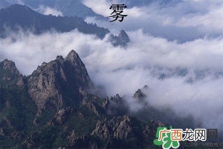 雾霾天怎么保护自己？雾霾天气的防治措施