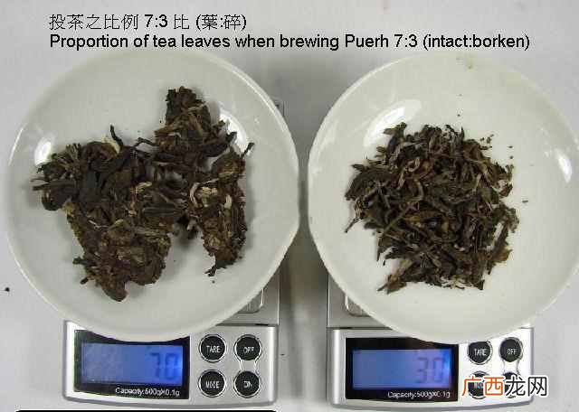 普洱茶的冲泡方法教学 普洱茶怎么泡好喝？