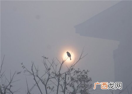雾霾一天中什么时候最严重?雾霾什么时候散?