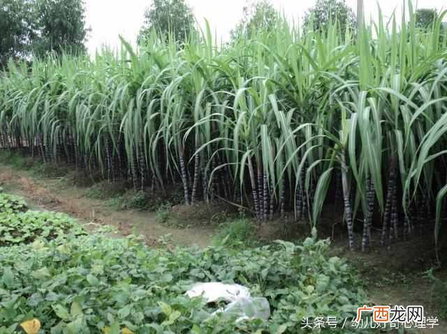 该怎么治疗红眼病 得了红眼病怎么办