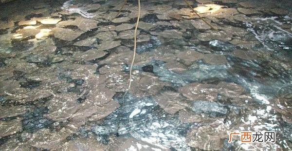水产养殖设备 水产养殖养水宝