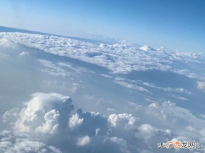第一次坐飞机登机流程,第一次坐飞机详细流程
