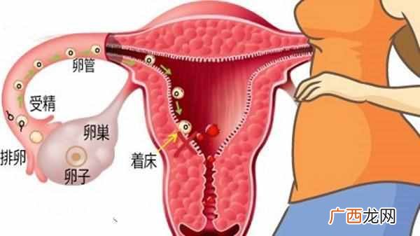 这些怀孕的信号你知道几个 怎么知道怀孕