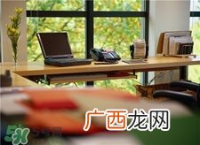 办公桌上放什么植物好?办公桌摆放什么吉利?