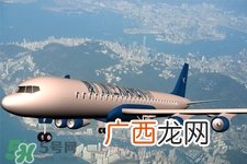 飞机上能带液体中药吗？坐飞机可以带袋装中药吗？