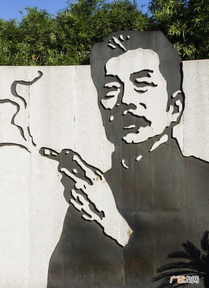 鲁迅先生讽刺人性的语句，鲁迅先生的怼人名句
