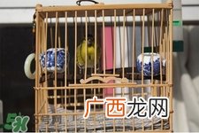 禽流感期间能接触鸟粪吗？碰到鸟粪会得禽流感吗？