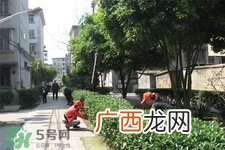 惊蛰可以动针线吗？惊蛰为什么不动针线？
