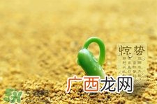 惊蛰可以动针线吗？惊蛰为什么不动针线？