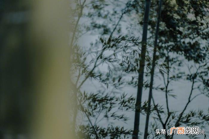 跟一个二婚男人处对象 未婚女找二婚男丢人么