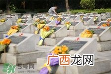 清明节为什么是阳历？清明节为什么是4号或5号？