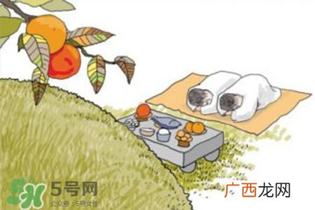 清明节为什么是阳历？清明节为什么是4号或5号？