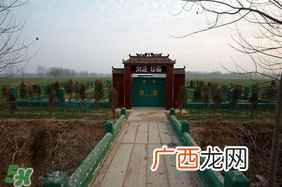 新坟不过社是什么意思？新坟不过社2017年哪一天？