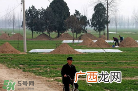 新坟不过社是什么意思？新坟不过社2017年哪一天？