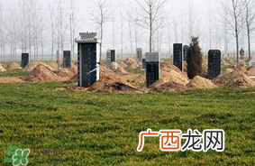 新坟不过社是什么意思？新坟不过社2017年哪一天？