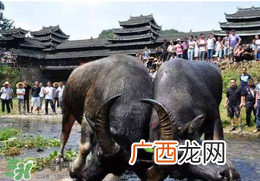 春社日怎么计算？2017年春社怎么算？