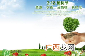 植树节为什么要种树？植树节种树的意义