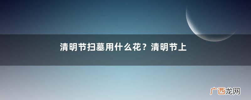 清明节扫墓用什么花？清明节上坟带什么花？