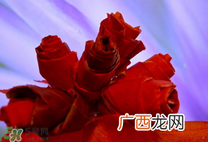 情人节送什么颜色的玫瑰花好？情人节送几朵玫瑰花好？