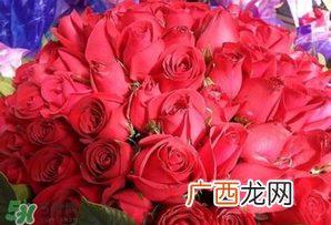 情人节送什么颜色的玫瑰花好？情人节送几朵玫瑰花好？
