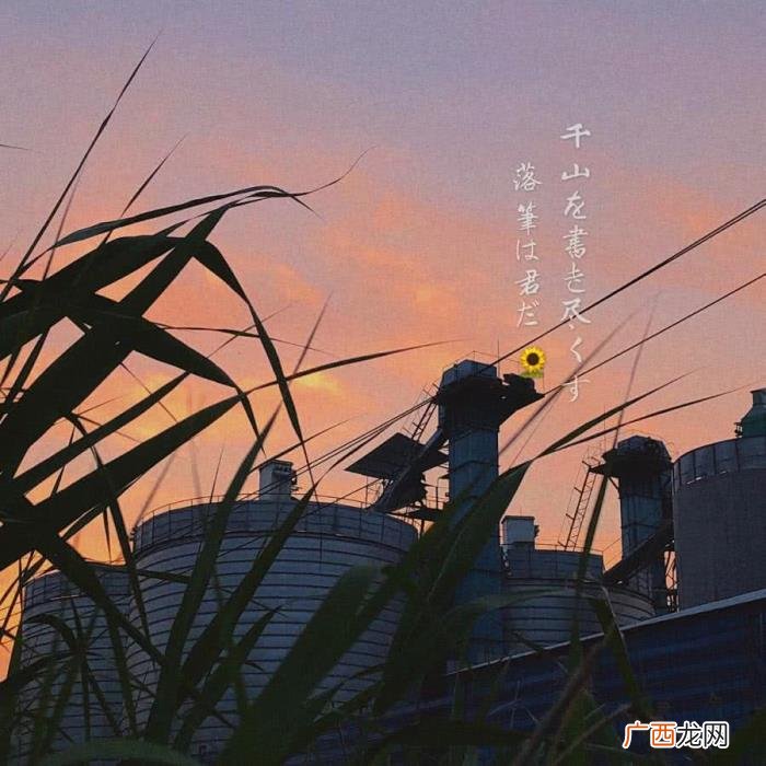 微丧·失恋·背景图 失恋图片