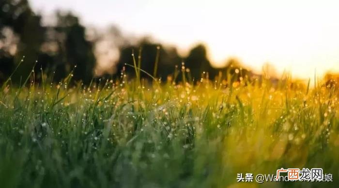 英语老师推荐的优美英文句子 优美的英文句子