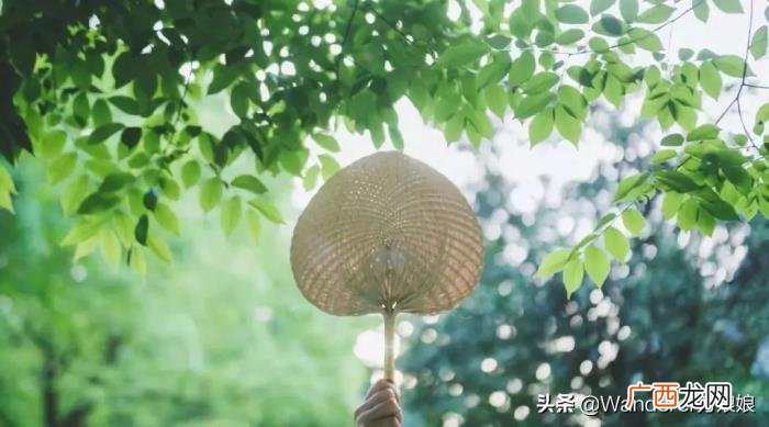 英语老师推荐的优美英文句子 优美的英文句子