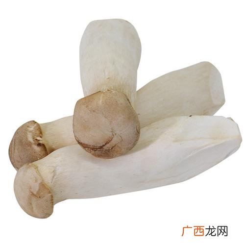 杏鲍菇批发价格行情 杏鲍菇养殖成本