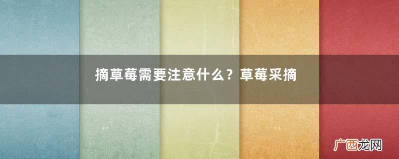 摘草莓需要注意什么？草莓采摘的注意事项