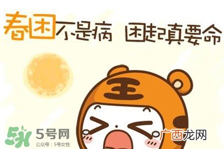 春困开车怎么办？春天开车易犯困怎么办？
