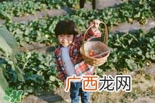 摘草莓要带什么？摘草莓要准备哪些东西？