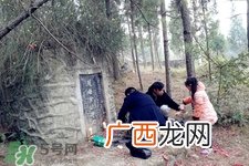 正月可以扫墓吗？正月能不能上坟？