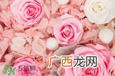 roseonly可以保存多久？roseonly能放多长时间？