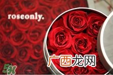 roseonly是怎么火起来的？roseonly值得买吗？