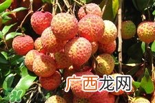 吃荔枝会酒驾吗？为什么吃荔枝会酒驾？