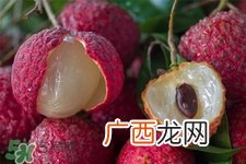 吃荔枝会酒驾吗？为什么吃荔枝会酒驾？