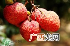 吃荔枝会酒驾吗？为什么吃荔枝会酒驾？