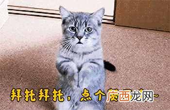 怎么删除qq空间说说？快速删除的办法，太好用了