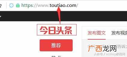 怎么建设网站？新手建站完整教程，一天看懂
