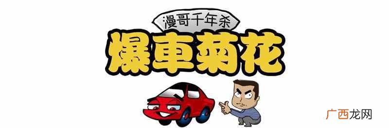 猎豹怎么样？被找回15万辆，还有办法挽回损失么