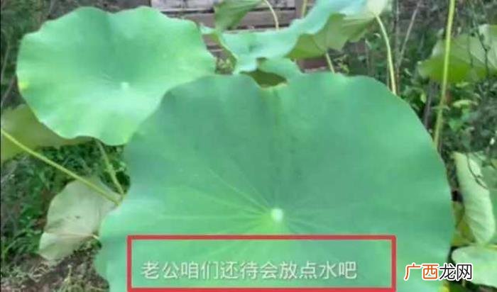 殷桃什么时候结婚的，42岁殷桃结婚了