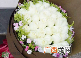 白色情人节送什么花？白色情人节送白玫瑰合适吗？
