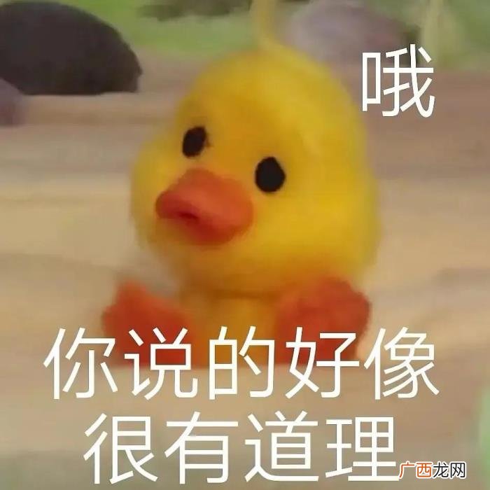 搞笑表情包Ⅰ你说的好像很有道理 有道理图片