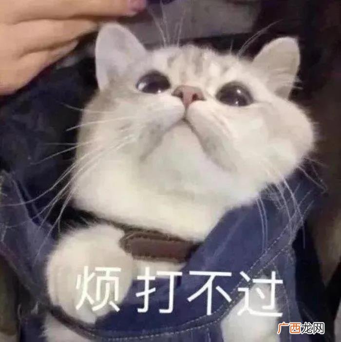 搞笑表情包Ⅰ你说的好像很有道理 有道理图片