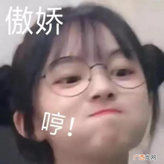 搞笑表情包Ⅰ你说的好像很有道理 有道理图片