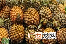 菠萝可以吸甲醛吗？菠萝可以除甲醛吗？