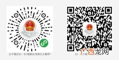 入口+流程 邵阳灵活就业人员养老保险缴费查询